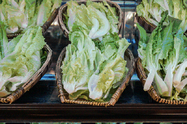 夏至高溫預(yù)警！消暑養(yǎng)生秘笈了解一下？