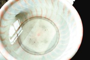 疫苗事件背后：您是否想過除甲醛產(chǎn)品也存在無效情況？