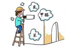 去甲醛具體有哪些方法呢？